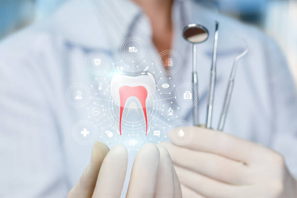 Trusted Paw Paw Lake, MI Holistic Dental Care Services Experts